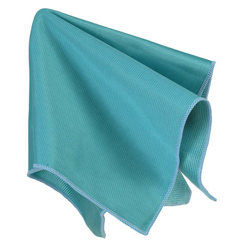 Anton van Leeuwenhoek