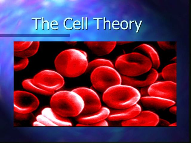 Formulation Of Cell Theory