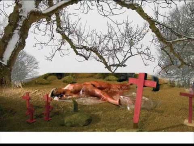 seis cuerpos fueron encontrados en la zona desértica Lomas de Poleo