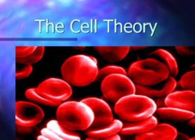 3 statements of cell theory