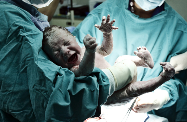 Nací el vientisiete de Octubre en Miami, Florida