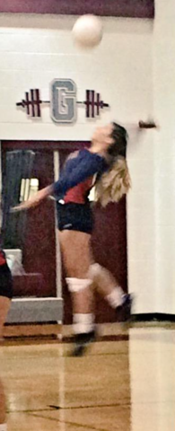 Yo gané una medalla del compenato de voleibol