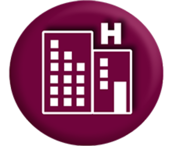 No. 196 884 HOSPEDAJE.