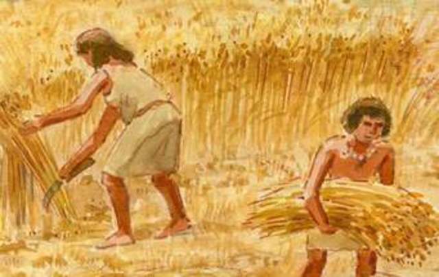 surgimiento de la agriculturs