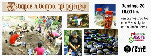 SIEMBRA DE ARBOLITOS