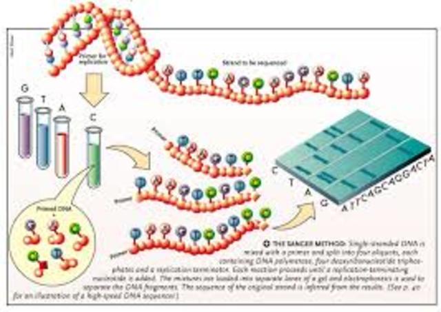 Sequence DNA