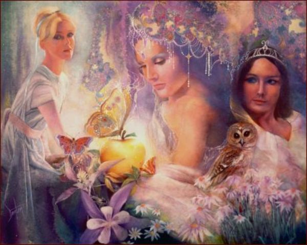 wedding of King Pelius and Thetis