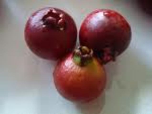 Ban of "Strange Fruit"