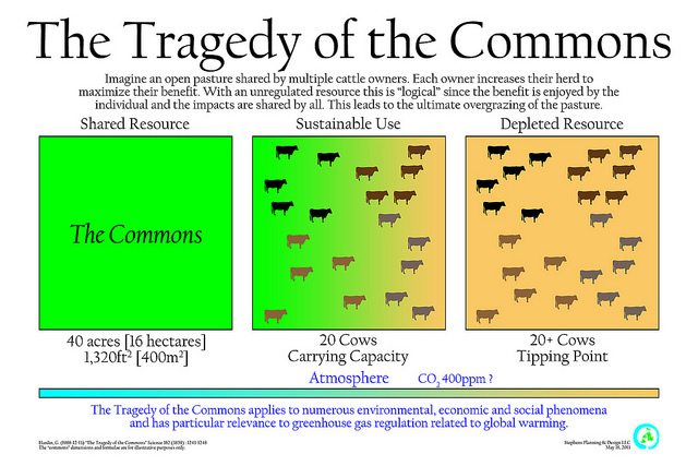 Tragedy of the Commons