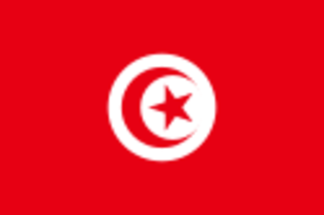 C.E.  Dynasty in Tunisia