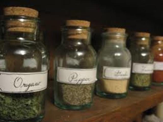 Captians notes: Day twelve