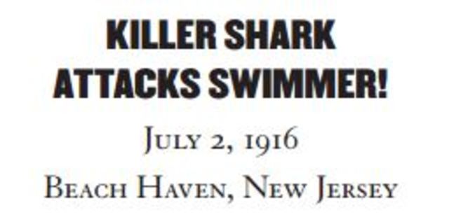First Shark Attack in New Jersey