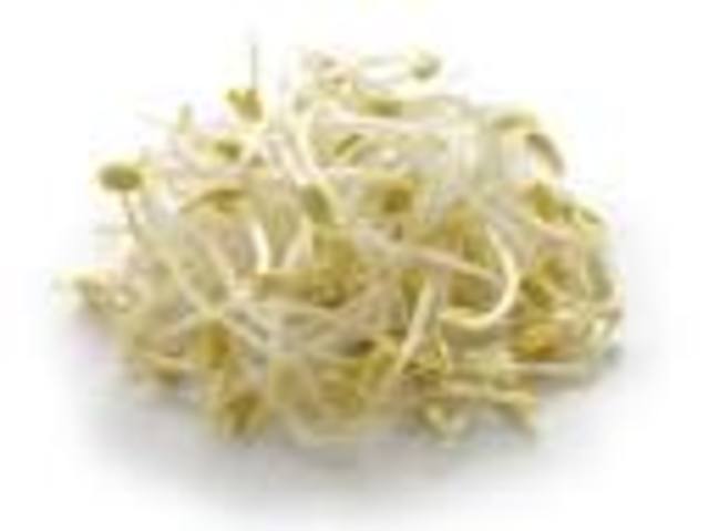Salmonella found in bean sprouts