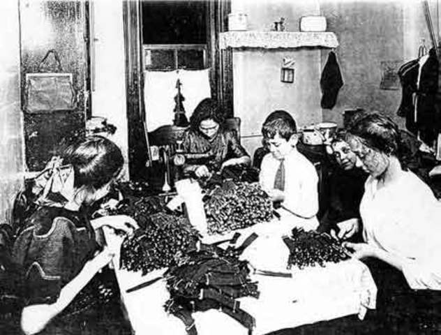 The Progressive Reform Movement