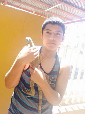 La primera vez que agarre a mi iguana (stan)