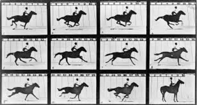 Leland Stanford’s Bet!