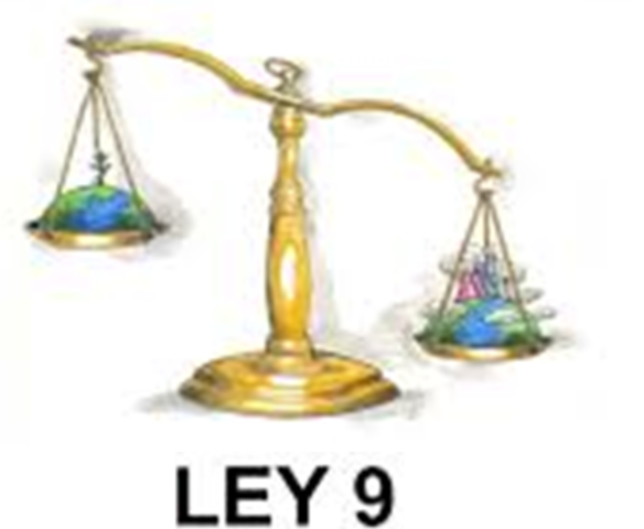 Declaración del rol del profesional, con la Ley 9.