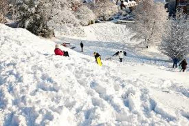 Viaje a la nieve en Flagstaf