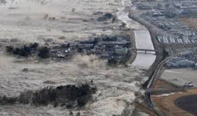 TSUNAMI EN ELSUR ASIATICO