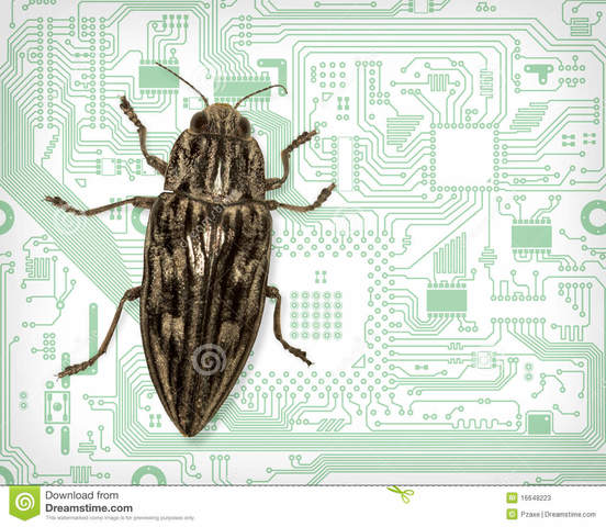 The term 'Bug' appears