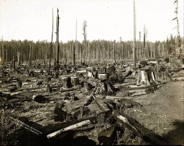 El Banco, con los bosques.
