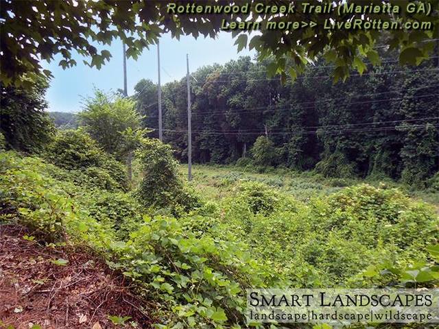 Information as Foundation and Springboard