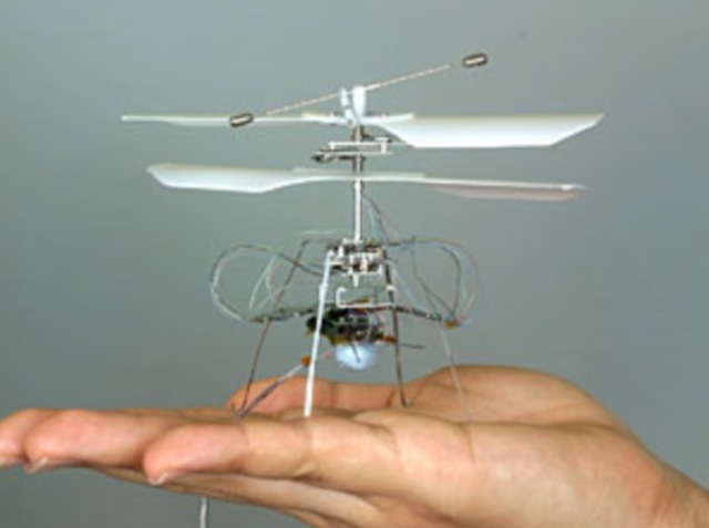 Micro Flying Robot