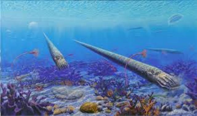 Ordovician Period-488-433 MYA