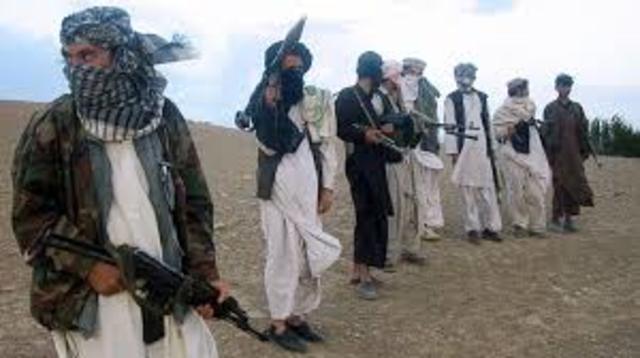 Taliban rise to power