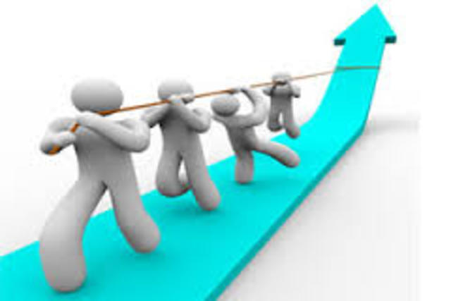 TEORIA DEL DESARROLLO ORGANIZACIONAL (DO)