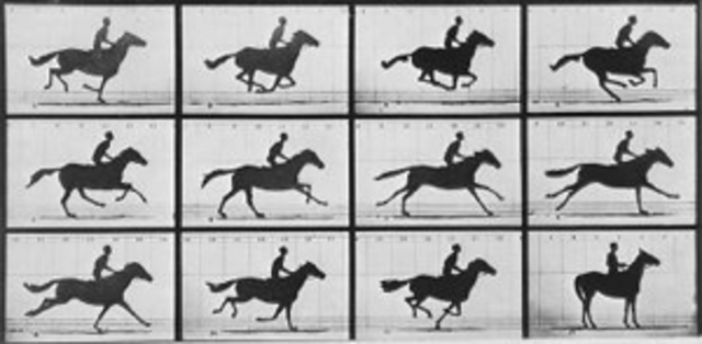 Leland Stanford'sBet