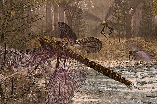 Carboniferous 359.2mya-299mya