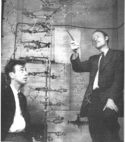 Doble estructura ADN