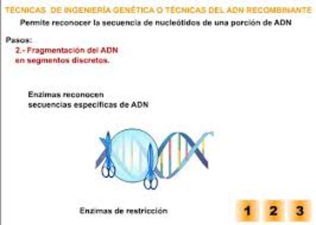Tecnicas de Ingenieria Genetica