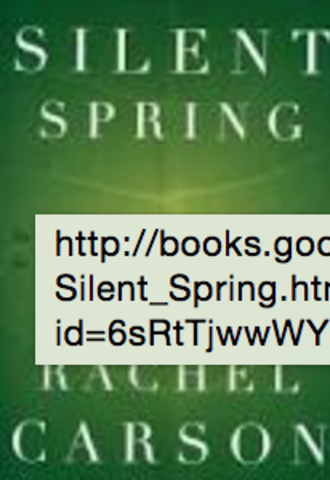 Silent Spring