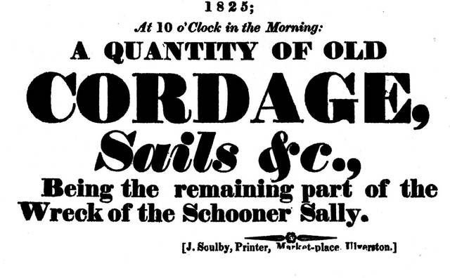 Muestrario de Fat Faces