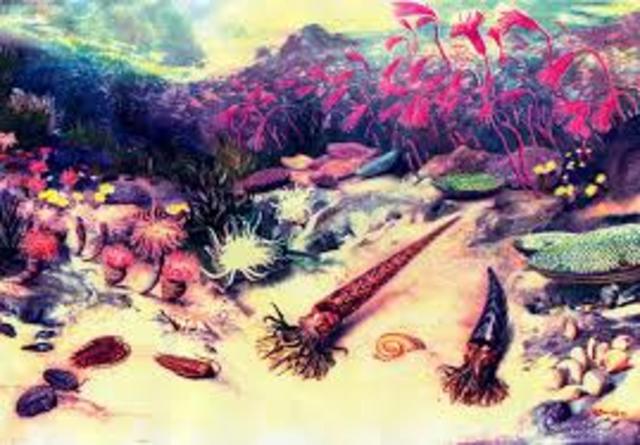 Silurian Period. 443.7-416.0MYA