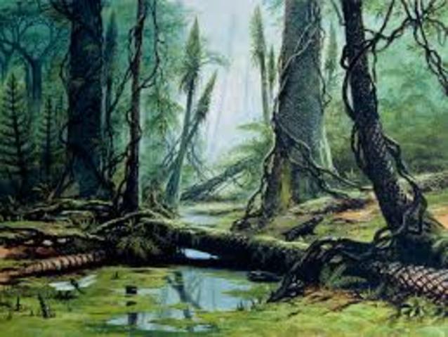 Carboniferous Period. 359.2 to 299MYA