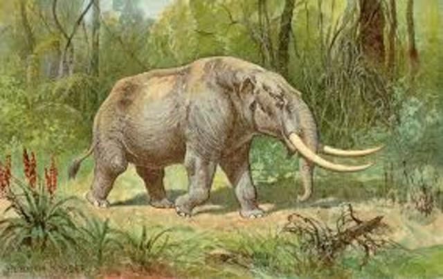 Tertiary  Period. 66-2.5MYA