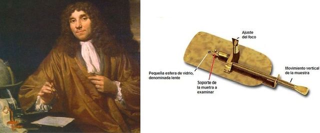 Anton Van LEEUWENHOEK