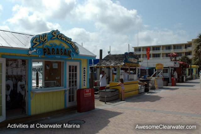 Dia Livre - Opção Tampa e Clearwater