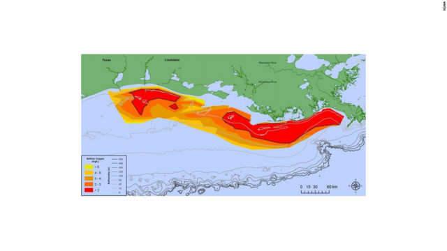 Gulf of Mexico Dead Zone
