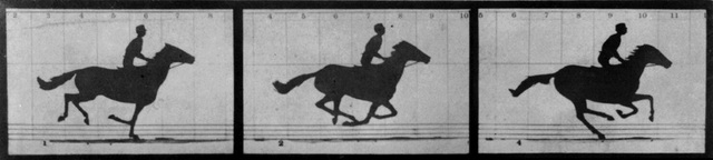 Leland Stanfords Bet