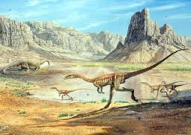 Triassic (251-199 MYA)