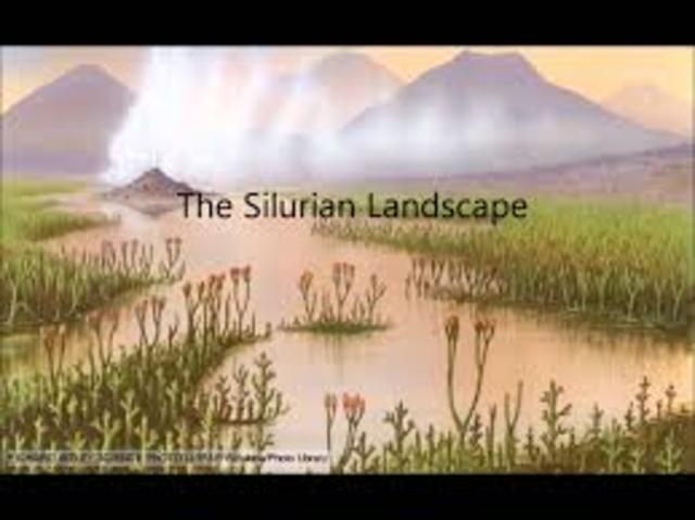 Silurian Period (443-416)