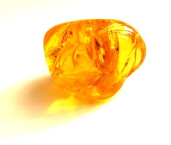 Thales of Miletus makes an important observation (B.C.)