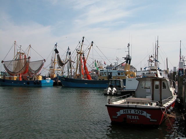 Port of Texel