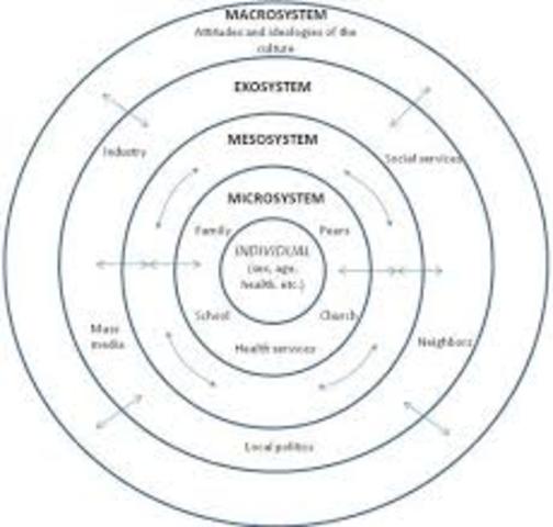 Published Theory of Ecological Systems