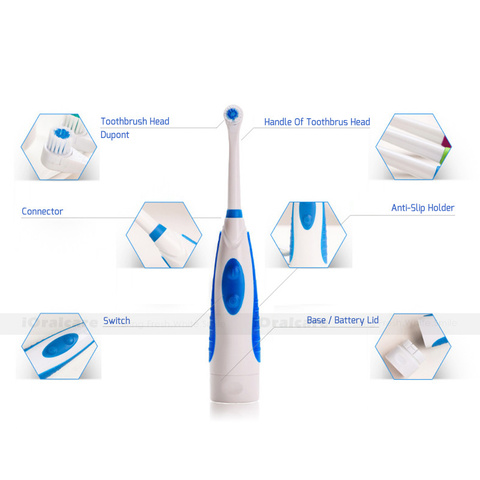 First rotary action electric toothbrush