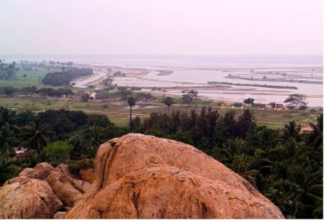 The Tamils established a kingdom